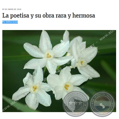 LA POETISA Y SU OBRA RARA Y HERMOSA - Por DELFINA ACOSTA - Sábado, 09 de Enero de 2010